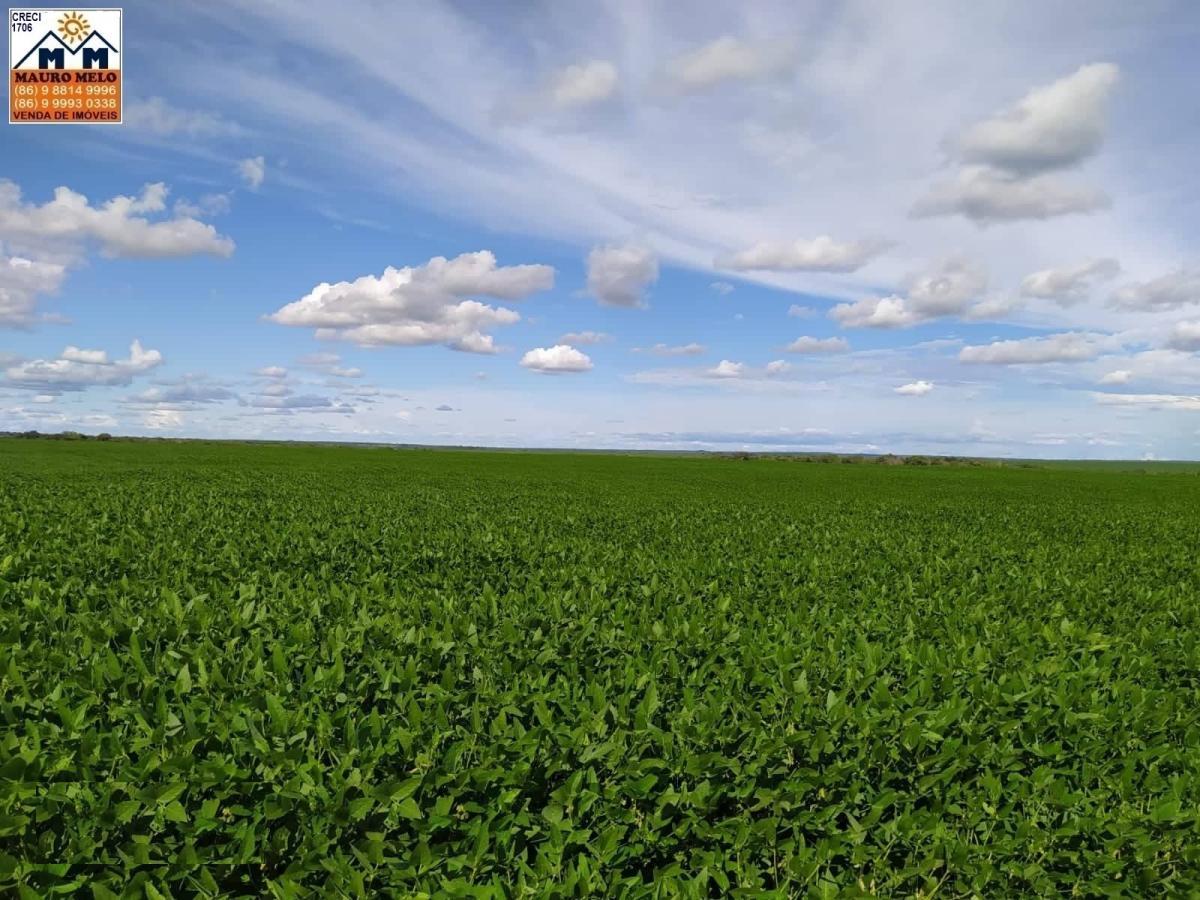 Chácara à venda, 5700000m² - Foto 6