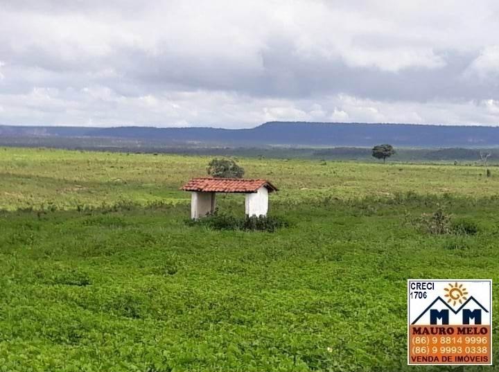 Chácara à venda, 893000m² - Foto 6