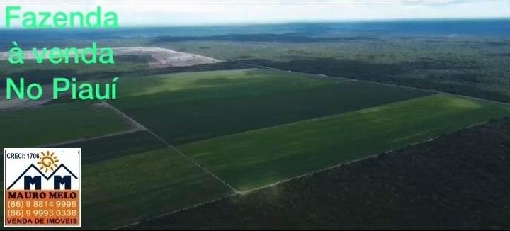 Chácara à venda, 1100000m² - Foto 7