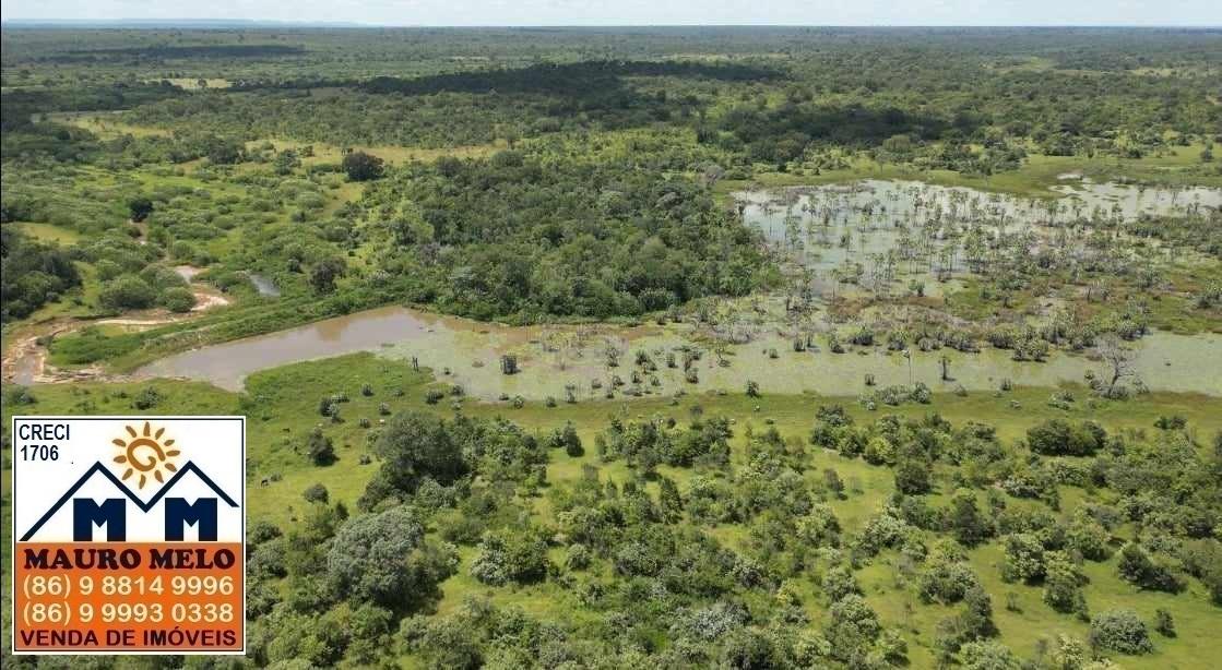 Chácara à venda, 15000m² - Foto 2