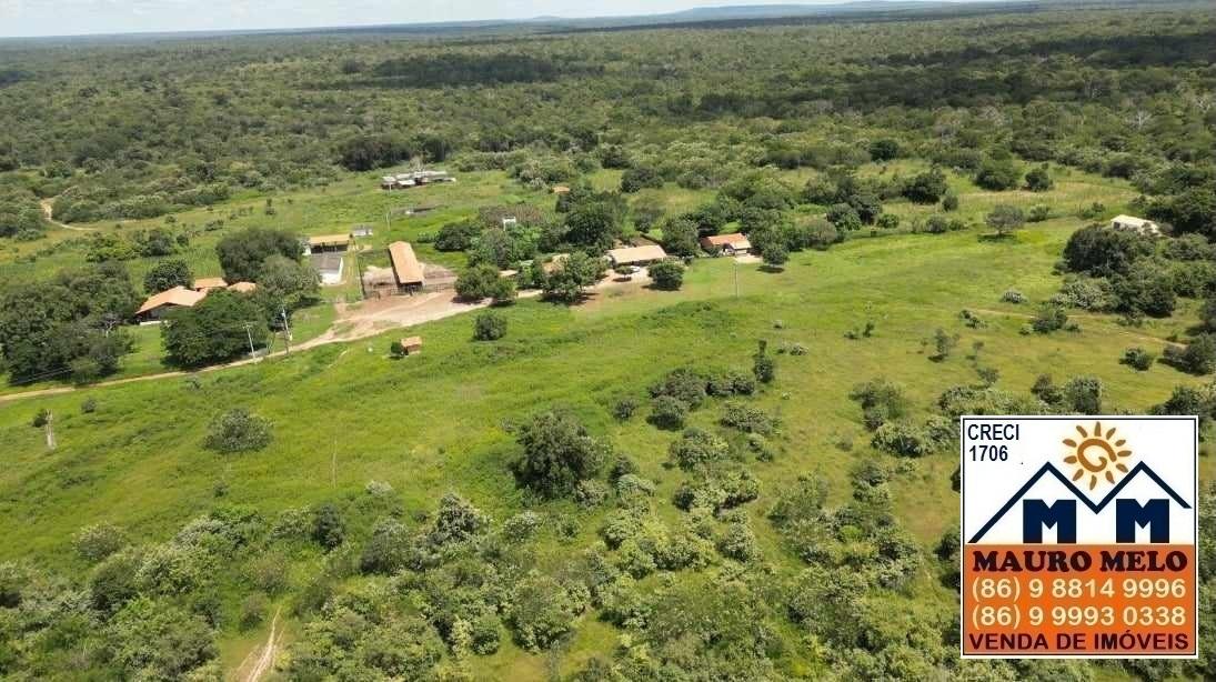 Chácara à venda, 15000m² - Foto 13