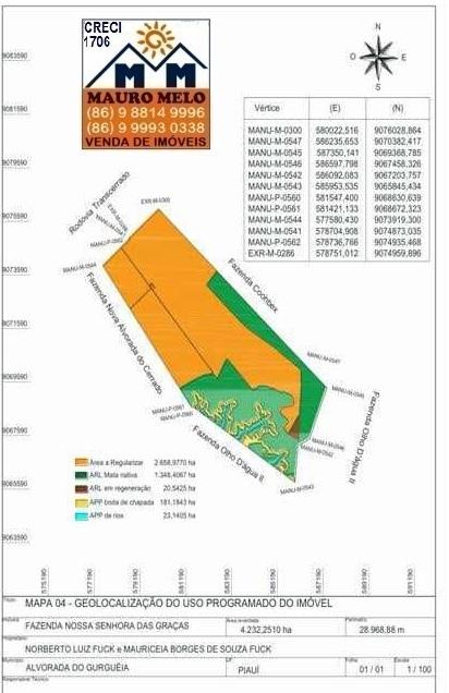 Chácara à venda, 423500m² - Foto 7