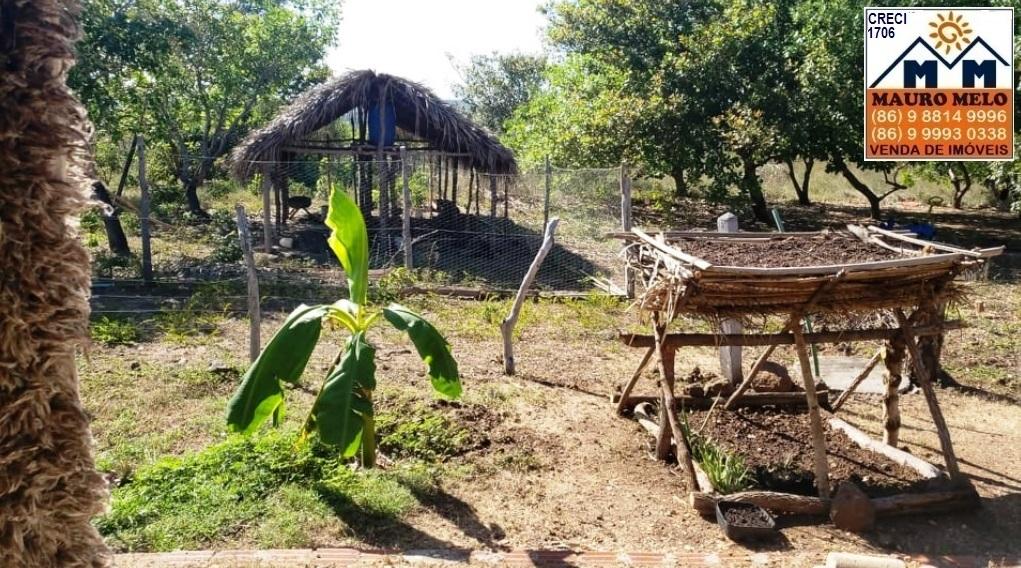 Chácara à venda com 4 quartos, 1215000m² - Foto 6