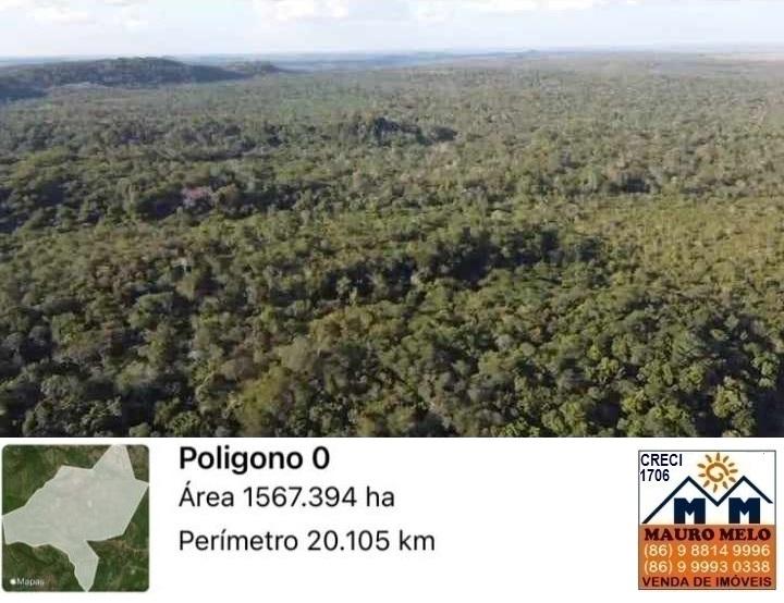 Chácara à venda, 1567000m² - Foto 2